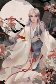 Nạp Thiếp Ký II